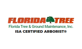 Florida Tree & Ground Maintenance