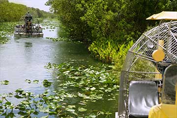 Everglades National Park boating tours in South Florida