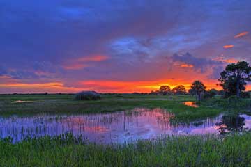 Everglades National Park sunset sky in South Florida